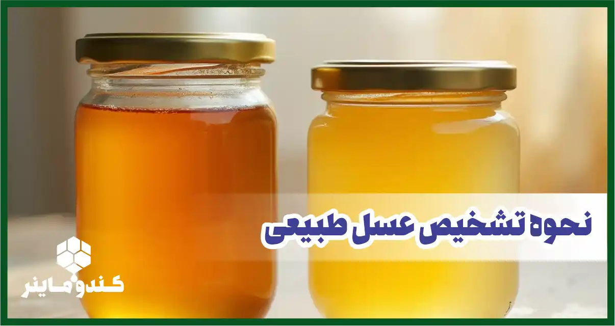 راهنمای جامع تشخیص عسل طبیعی از تقلبی | بهترین روش